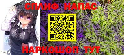стафф Вязьма