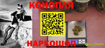 стафф Вязьма