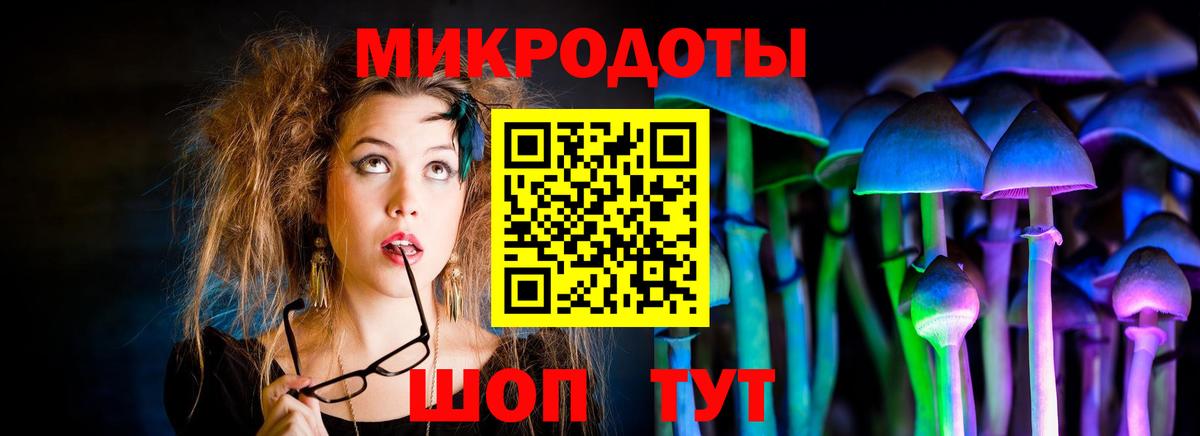 Галлюциногенные грибы ЛСД  Галлюциногенные грибы GOLDEN TEACHER  наркота  Вход с VPN  Будённовск 
